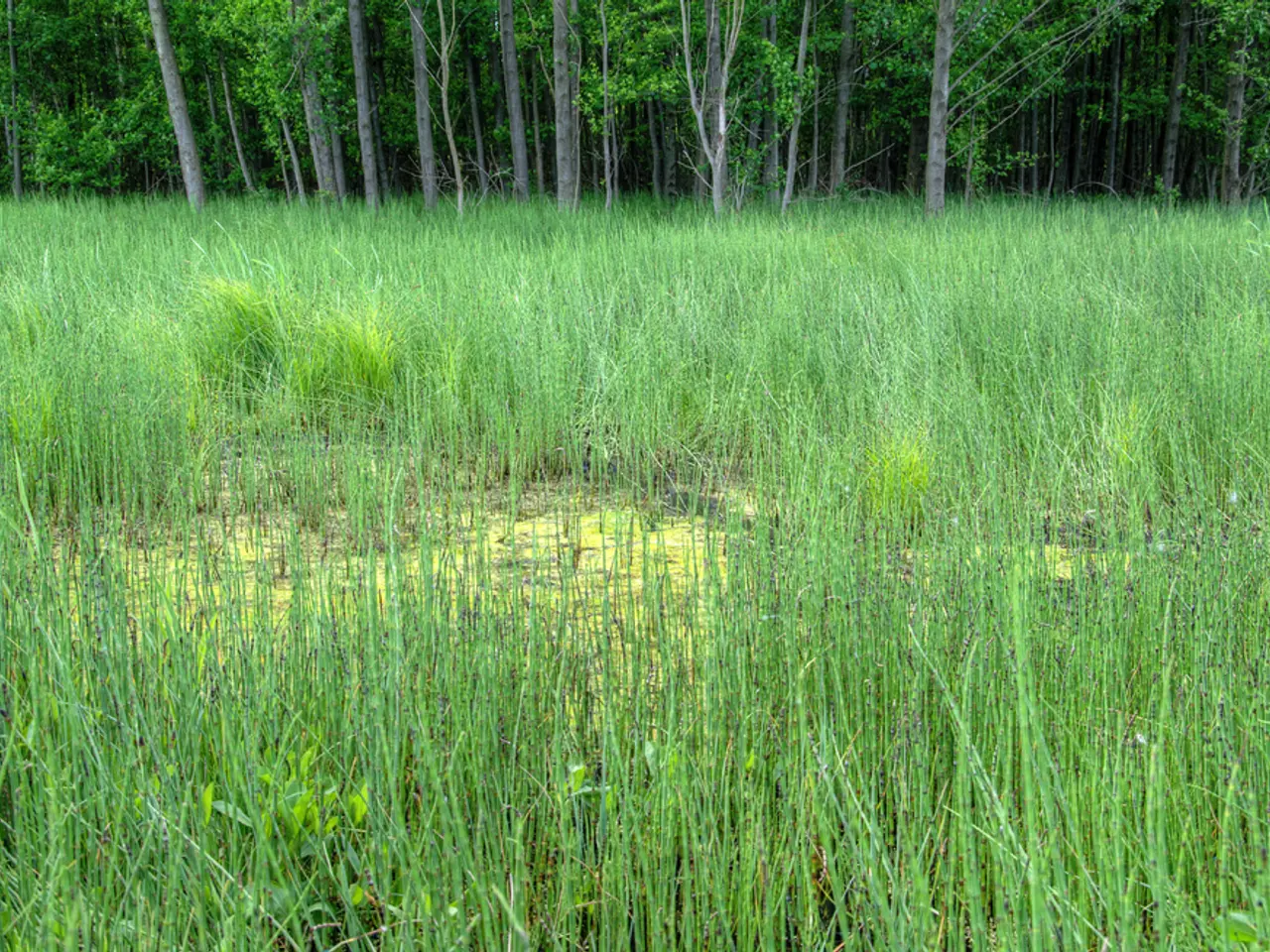 Agricultural Labor and Boxo's Exciting Voyage across Australia