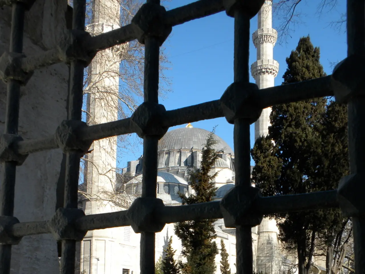 Hiking Trail: Boucher Fire Tower Loop in Palomar Mountain