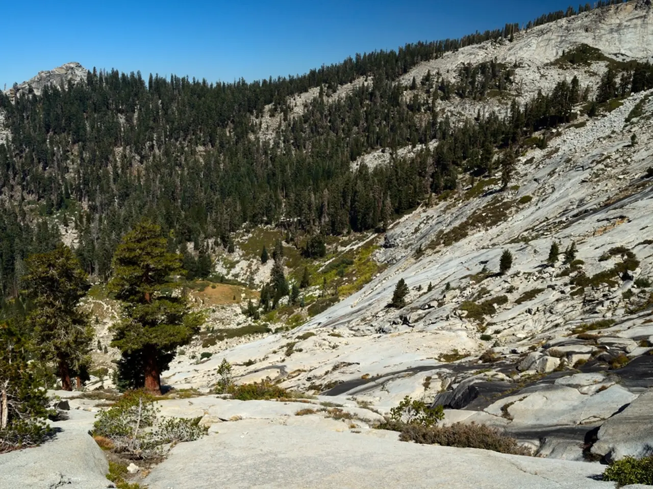 Enjoying the breathtaking landscapes of Rocky Mountain National Park