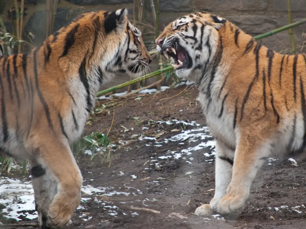 Chinese Astrological Signs Bring Luck and Prosperity on August 17, 2025 (According to Chinese...