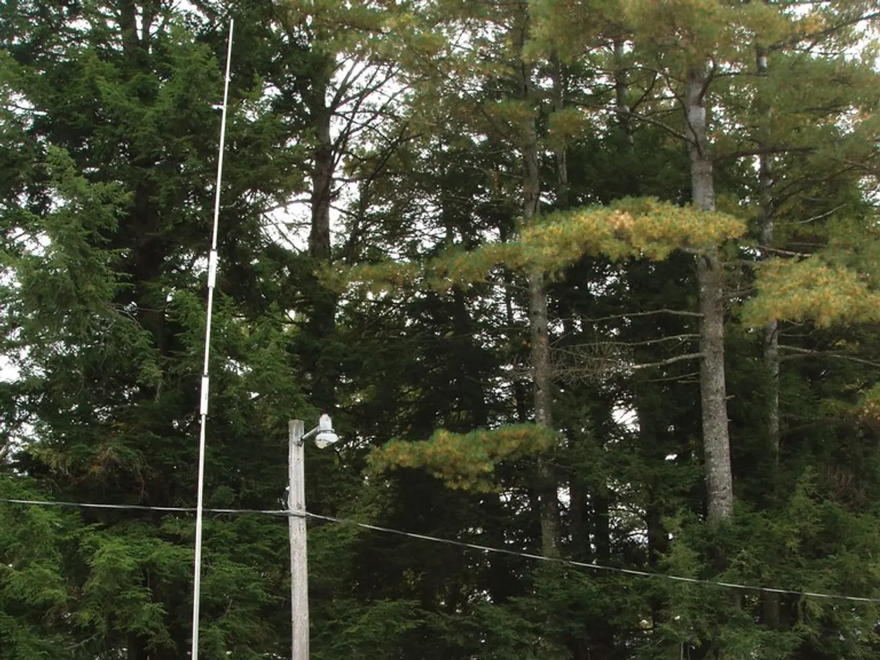 Grab our complimentary ebooks, loaded with caravan advice to help you on your journey