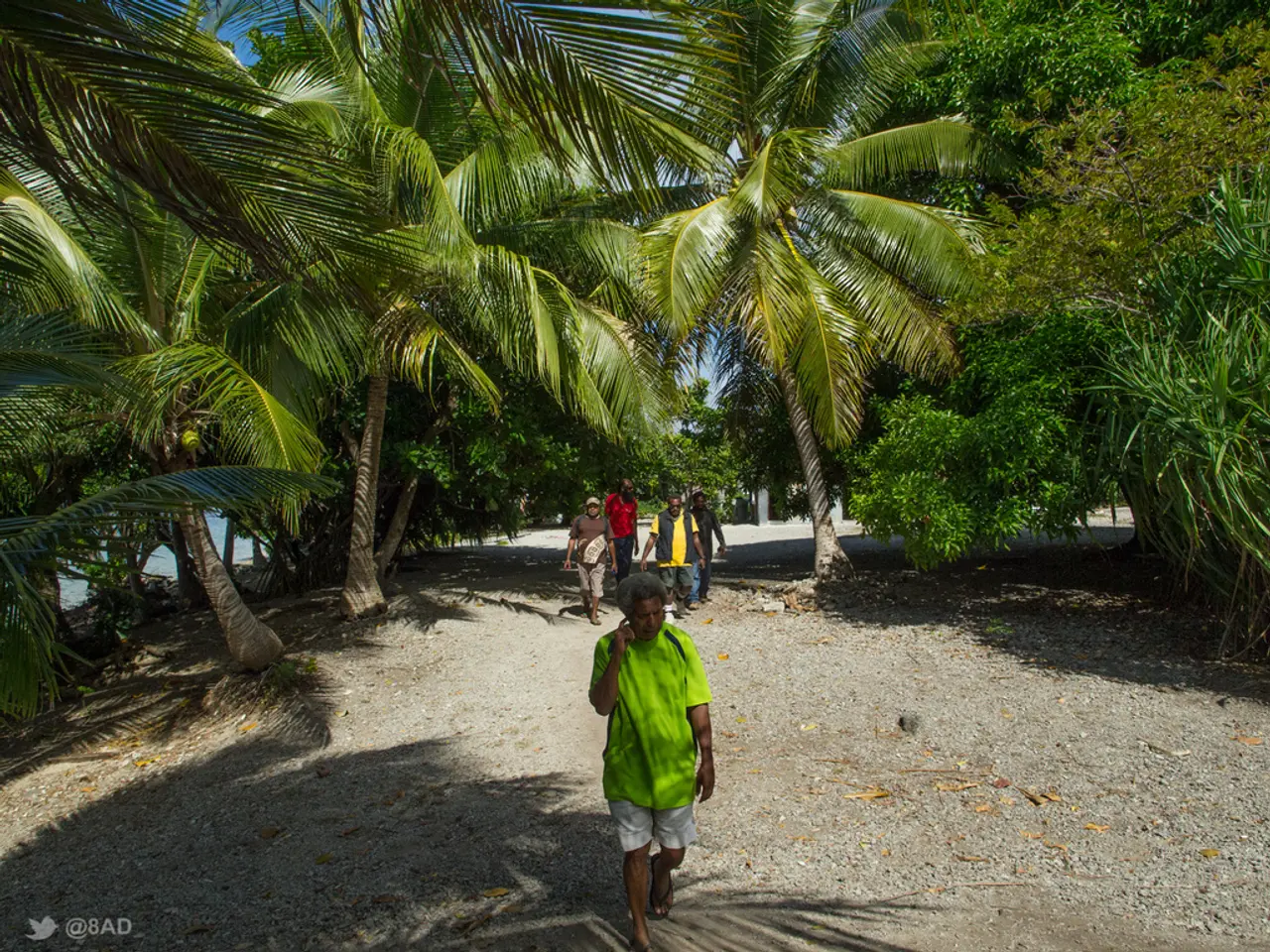 In this picture we can see some people walking on the ground. Behind there are some huge coconut...