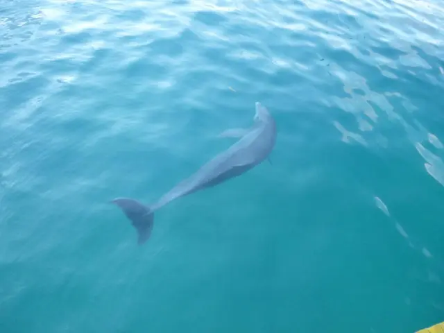 Uncover the Details of Baja Photo Workshop Scheduled for 2026