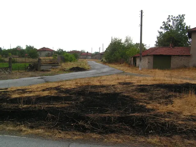 Child supervision services offered during school breaks