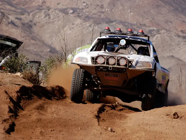 Transforming the Labour Market to Achieve "Fit For 55": Achievable, but Requires Skill Development