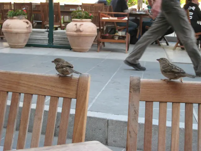 Top-Notch Health Travel Advice for Boosted Vitality: