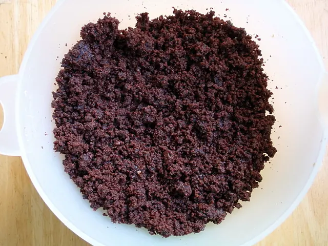 Altered Bowel Patterns: Causes and Timing for Medical Consultation