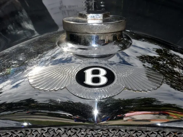 Anemia, characterized by a lack of red blood cells: Exploring Symptoms and Beyond