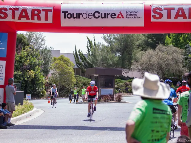 Cairns to Sydney Family Journey