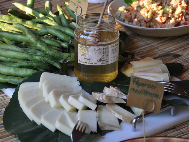 Guide to Color Beans for Sensory Activities