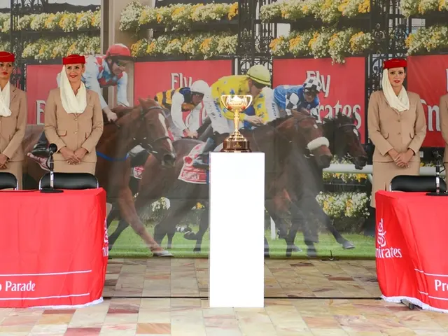 Assessment of Emirates: Seating, Facilities, Service, Baggage Charges, and Further Analysis