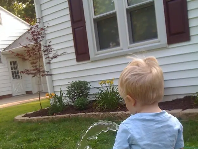 Neighborhood Association Consistently Penalizes Homeowner for Providing Complimentary Water to...