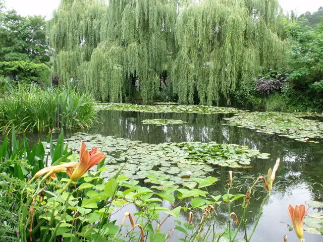 Outdoor fun, genuine tranquility, and a list of fifty things to abandon for a fresh start during...