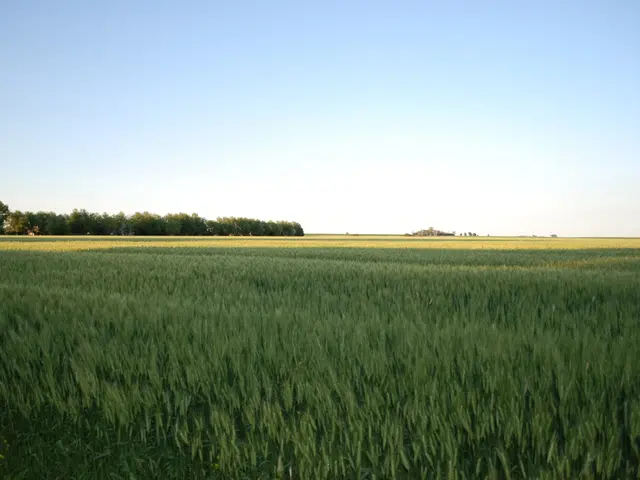 Exploration of "Listen to the Land Speak": An emotional ode to a somewhat neglected corner of...