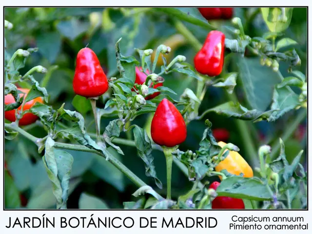 Throat irritation and chest discomfort: Origin, signs, and remedies