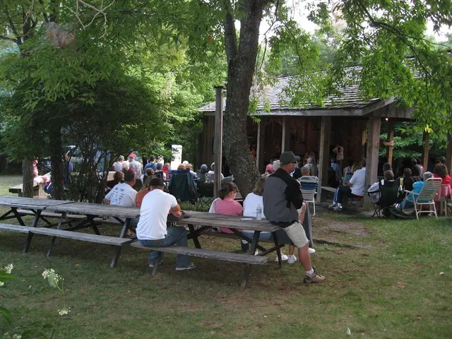 Affordable Vacation Suggestions for Parents: Crafting Unforgettable Moments Without Straining Your...