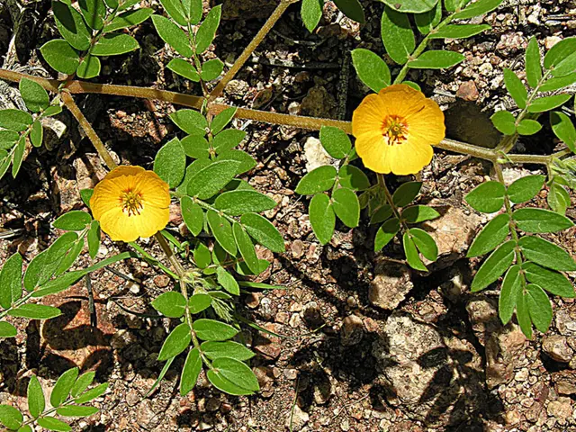 Expert Bonsai Trimming Techniques: Cascade and Literati Shaping Methods