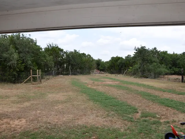 Exploring Motorhomes and Campervans in Ireland: A Comprehensive Handbook