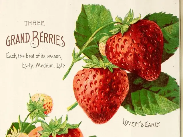 Engaging Audio Books Perfect for Summer Listening!