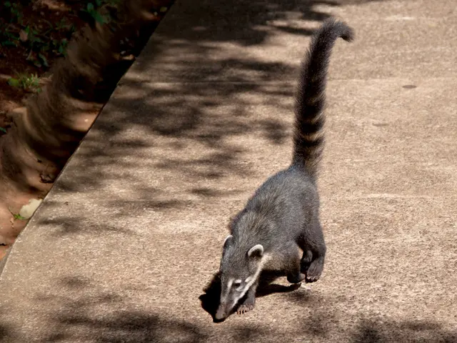 Loss of Taste and Smell in COVID-19: Significance in Diagnosis and Outcome Predictions