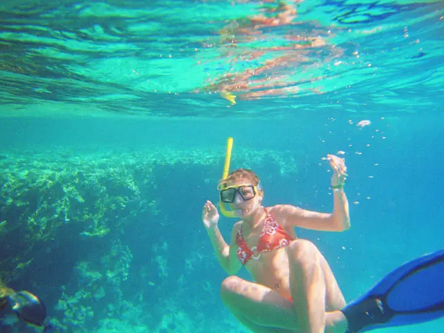 Don't overlook the significance of this crucial wardrobe essential for beach holidays and surfing...