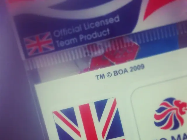 Foreign travelers, brace yourself: the United States will soon be charging a $250 fee for entry.