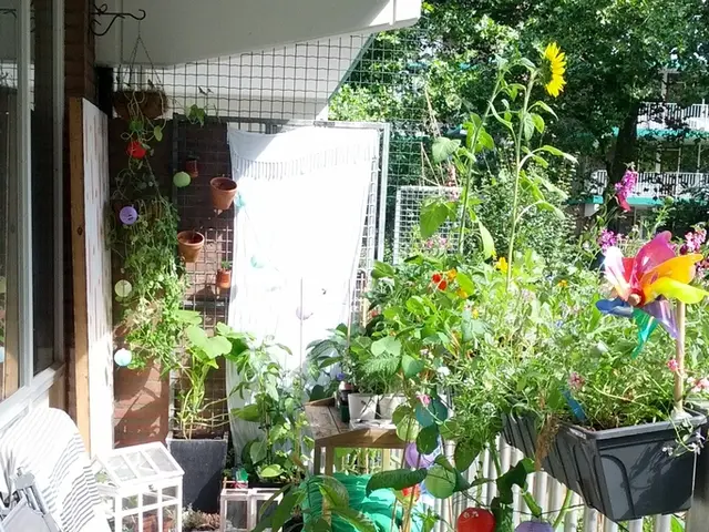 Coastal abode boasting a wetsuit room, fingerprint-activated entrance, and panoramic views from its...