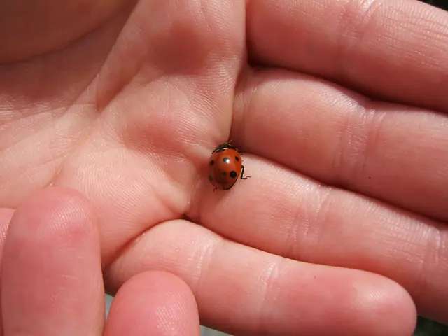 Reason Behind Your Calligraphy's Wobbliness