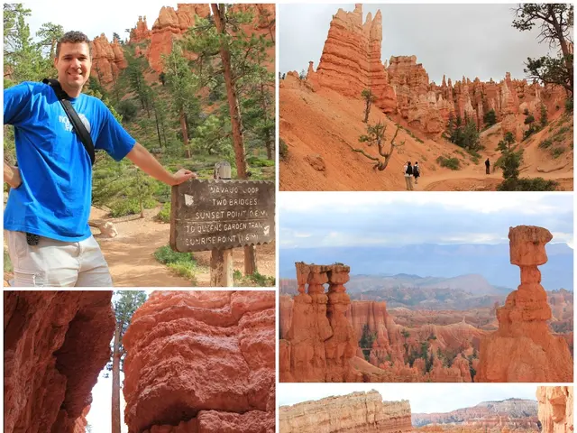 Nature's Recollections: Solo Wilderness Not Sufficient: Explanation Provided