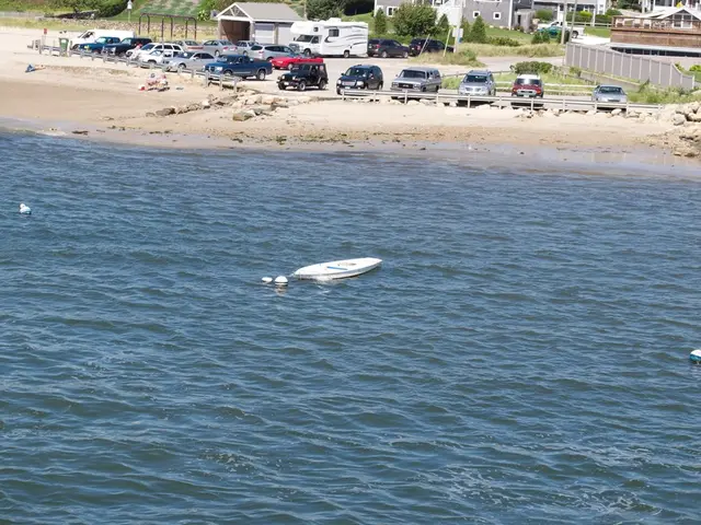 Business opportunities overlap with coastal getaways on the Baltic Sea, providing unique prospects...