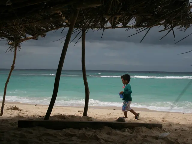 Ancient 500-year-old Hawaiian rock carvings reemerge on a public coastline