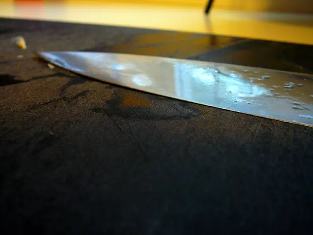 Backcountry Cooking Made Easy: A Comprehensive Review of the Messermeister Adventure Chef Knife – a...