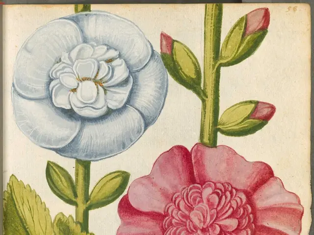 Seven Song Concepts Incorporating Seasonal Nature Elements, Stimulating Awe and Wonderspiration