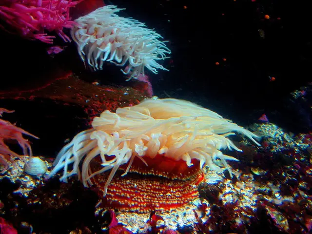 Discovering the National Park of American Samoa: A Territorial Gem of the United States