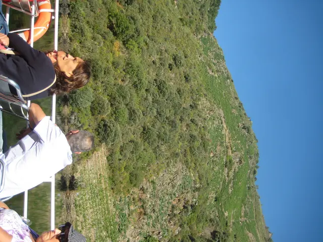 The Future Direction of the Tourism Sector