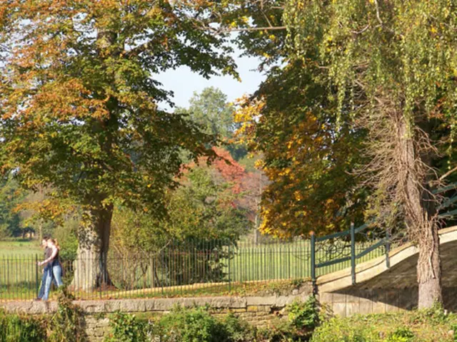 Brain Restart by Nature's Methods