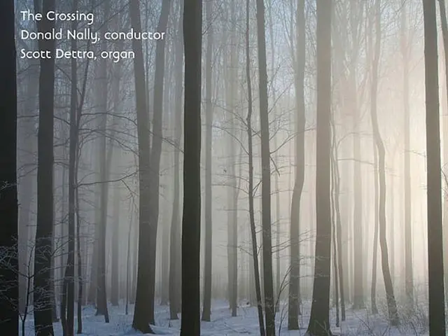 Over 80 Thought-Provoking Expressions Celebrating the Autumnal Season