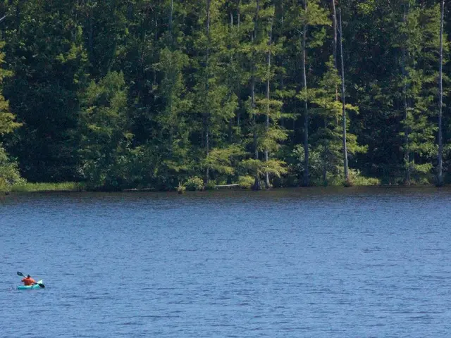 Exploring the realm of bluewater sailing: "I yearned to traverse the globe... and I merely...