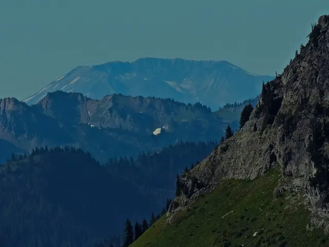 Working in the Moist Tropical Wilderness of Alaska