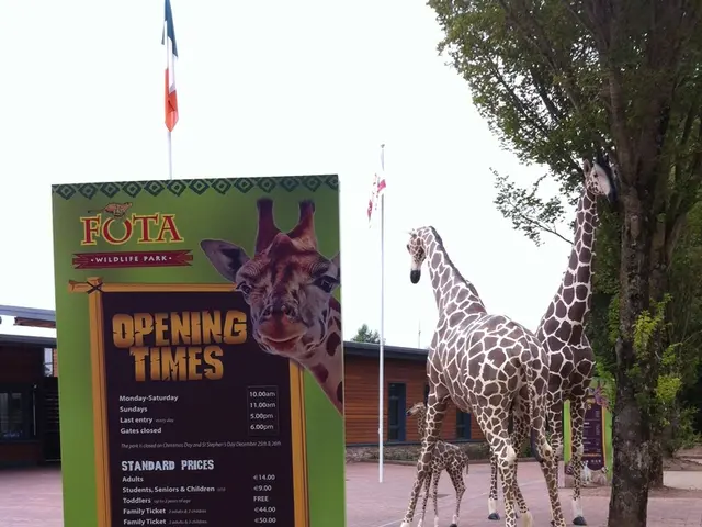 Experiencing Animal Joy Preceding Life's Gravitas: Newcomer's Weekend at Leipzig Zoo