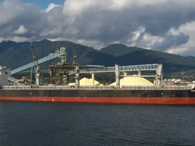 International Maritime Celebration Held on the Baltic Sea - Hanse Sail Festival