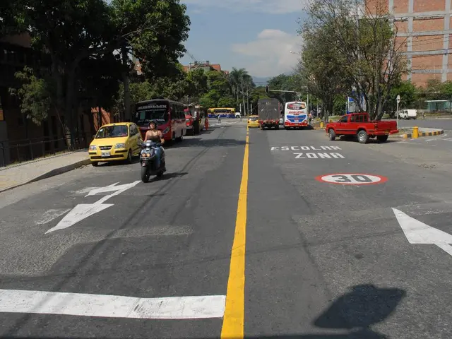 Danger to Wildlife as Roadway Usage Increases in Yucatan During Summer Months