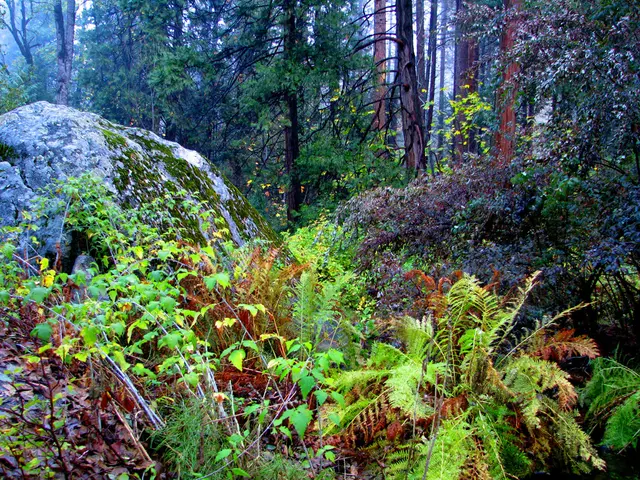 Activities Not to Miss at Carlsbad Caverns National Park