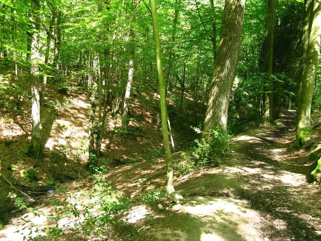 Arctic Life's Secret Garden: Cultivating Permaculture in the Tundra Forests