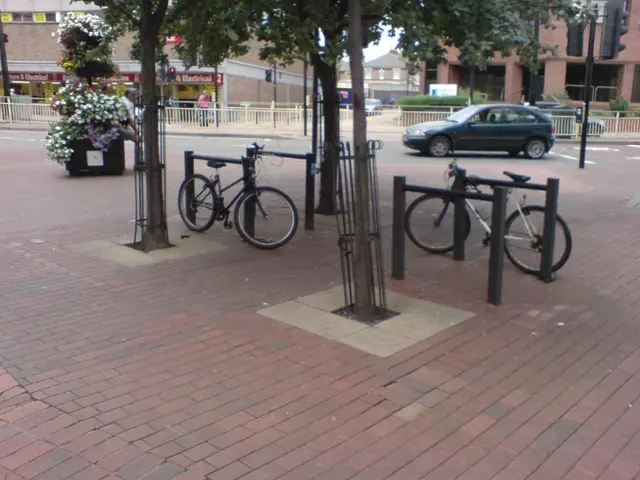 Reducing Your Carbon Footprint Through Green Habits