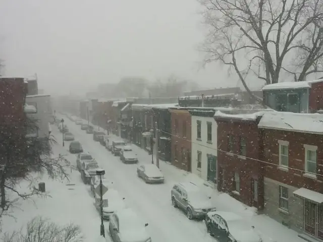 Unmissable Winter Journeys Across Europe's Frozen Landscapes