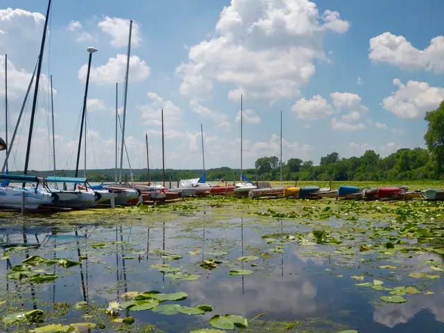 Excitement sweeps through Bến Tre as it disrupts the Asian market with its tide of success