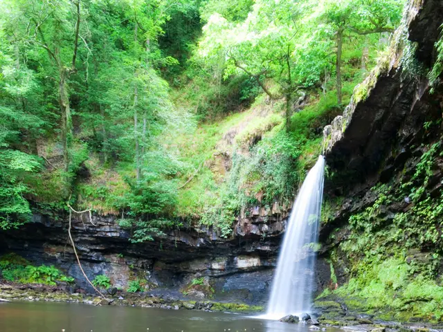 Alliance of Elves Safeguarding Iceland's Natural Landscapes