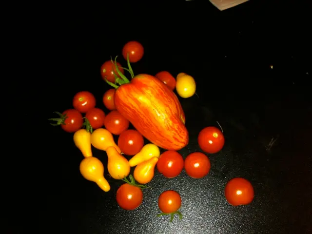 Europe Vacation Guide: Discovering Seasonal Fruits Through Foraging During Travel Across the...