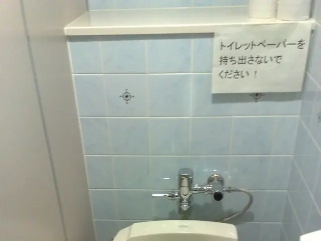 Unique, high-tech toilets in this nation provide a captivating user experience, according to Rick...